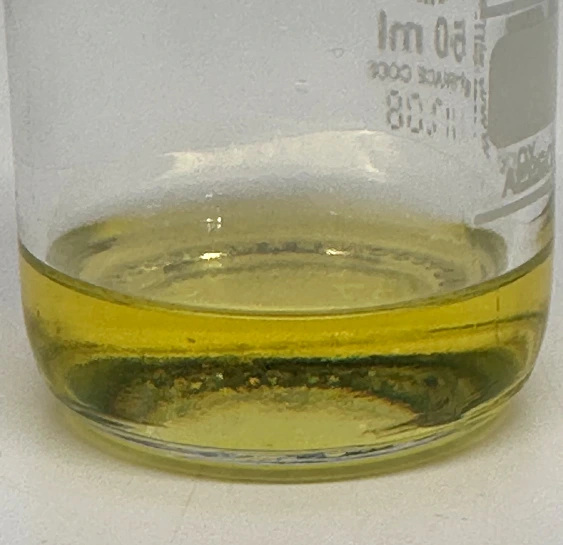 Frangipani Çiçeği - Görsel 2