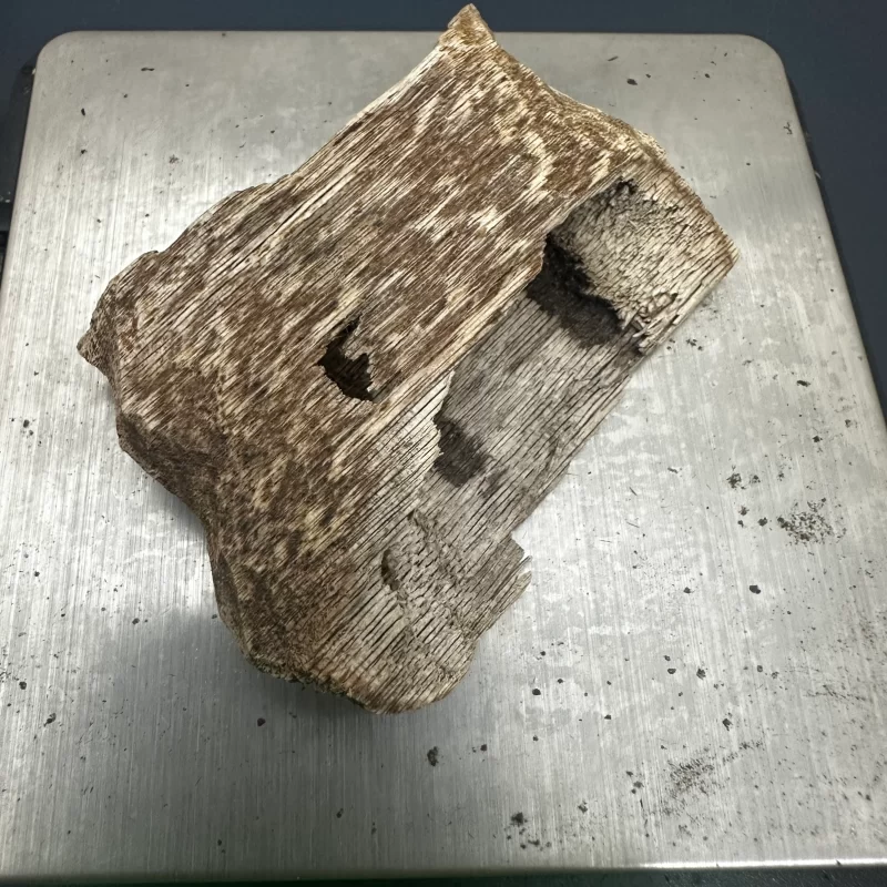 Tayland Oud Ağacı Buhur 5,12 gr