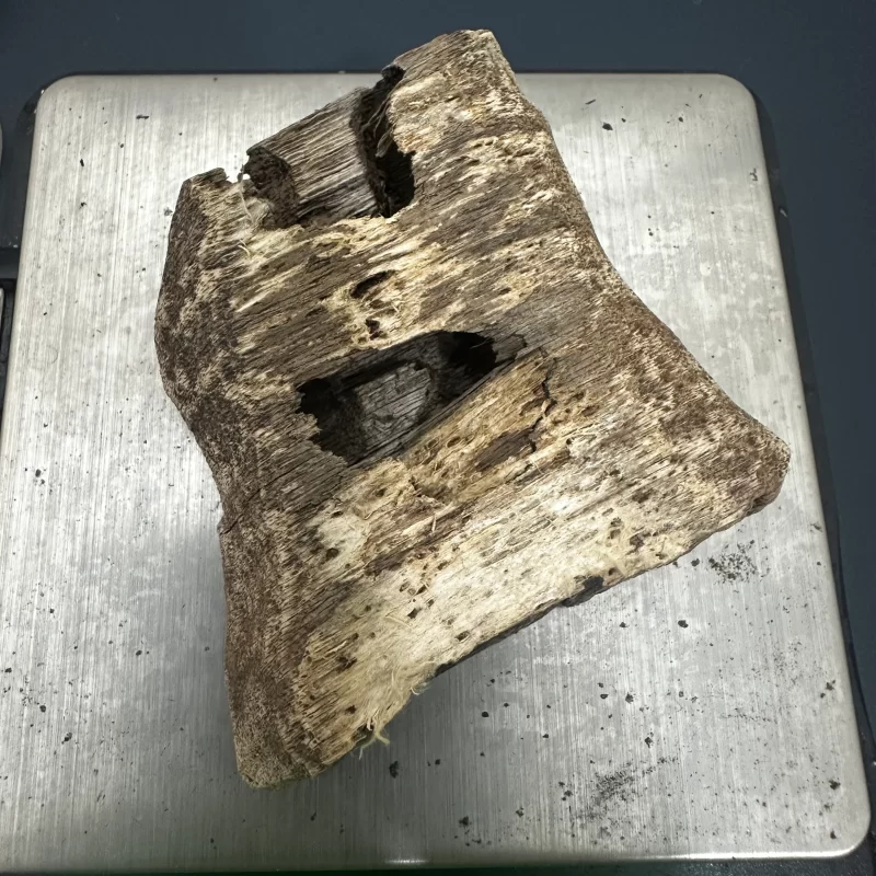 Tayland Oud Ağacı Buhur 6,25 gr