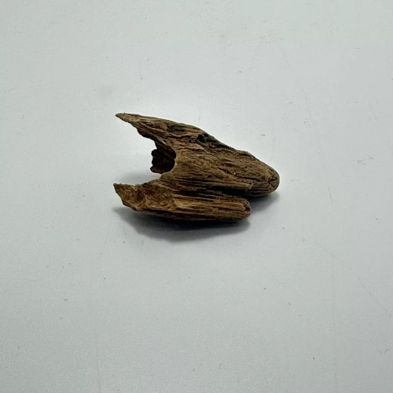 1,82 gr Oud Buhur